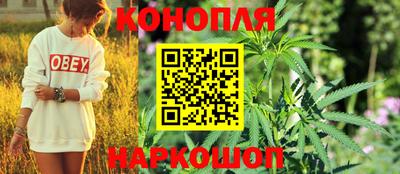 apvp Канаш